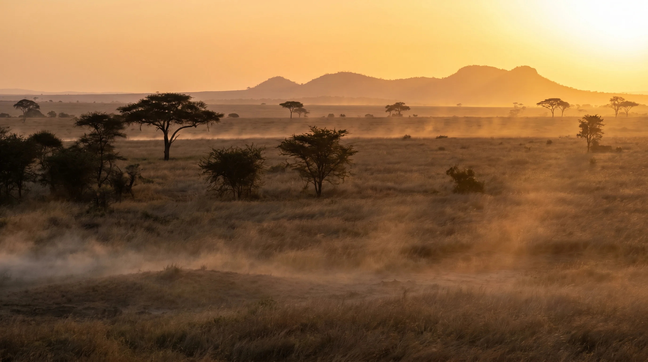 Wyld Rivals — golden-hour Serengeti dawn, acacia silhouettes against a distant mountain ridge