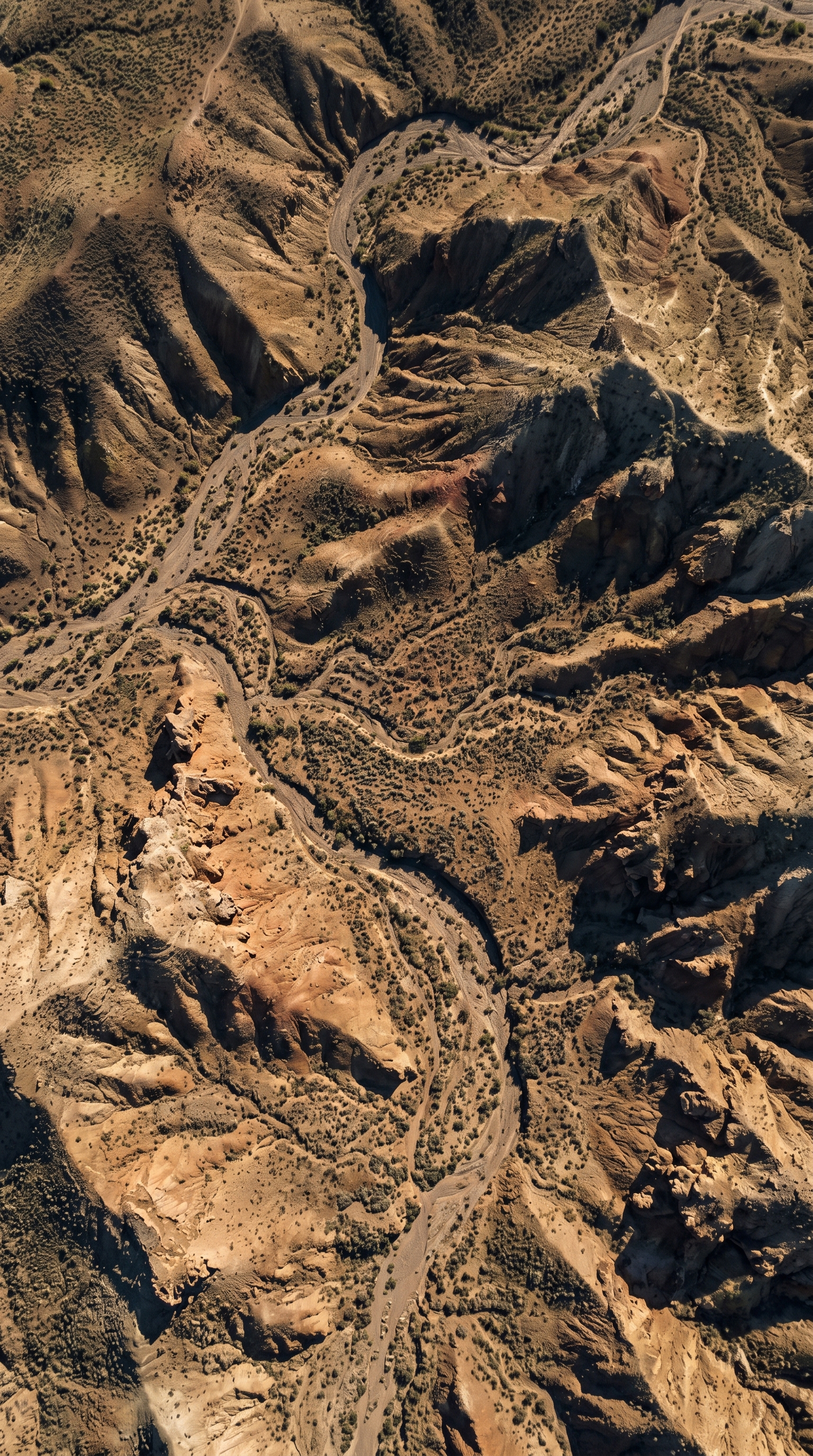 Altyn-Emel National Park, Kazakhstan from high overhead — The global IUCN status for Canis lupus is species-level Least Concern, but that headline can hide strong local pressure.