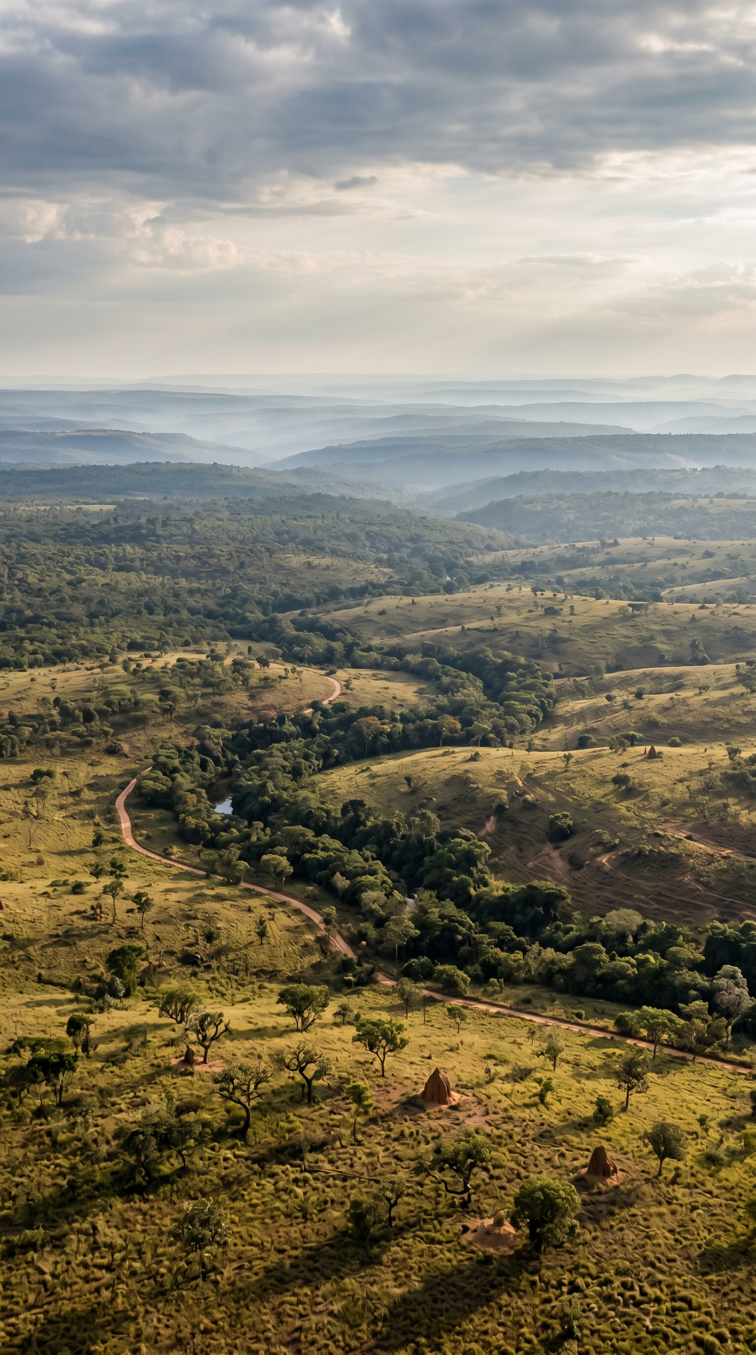 Emas National Park, Brazil seen from above — Priodontes maximus is the largest living armadillo.