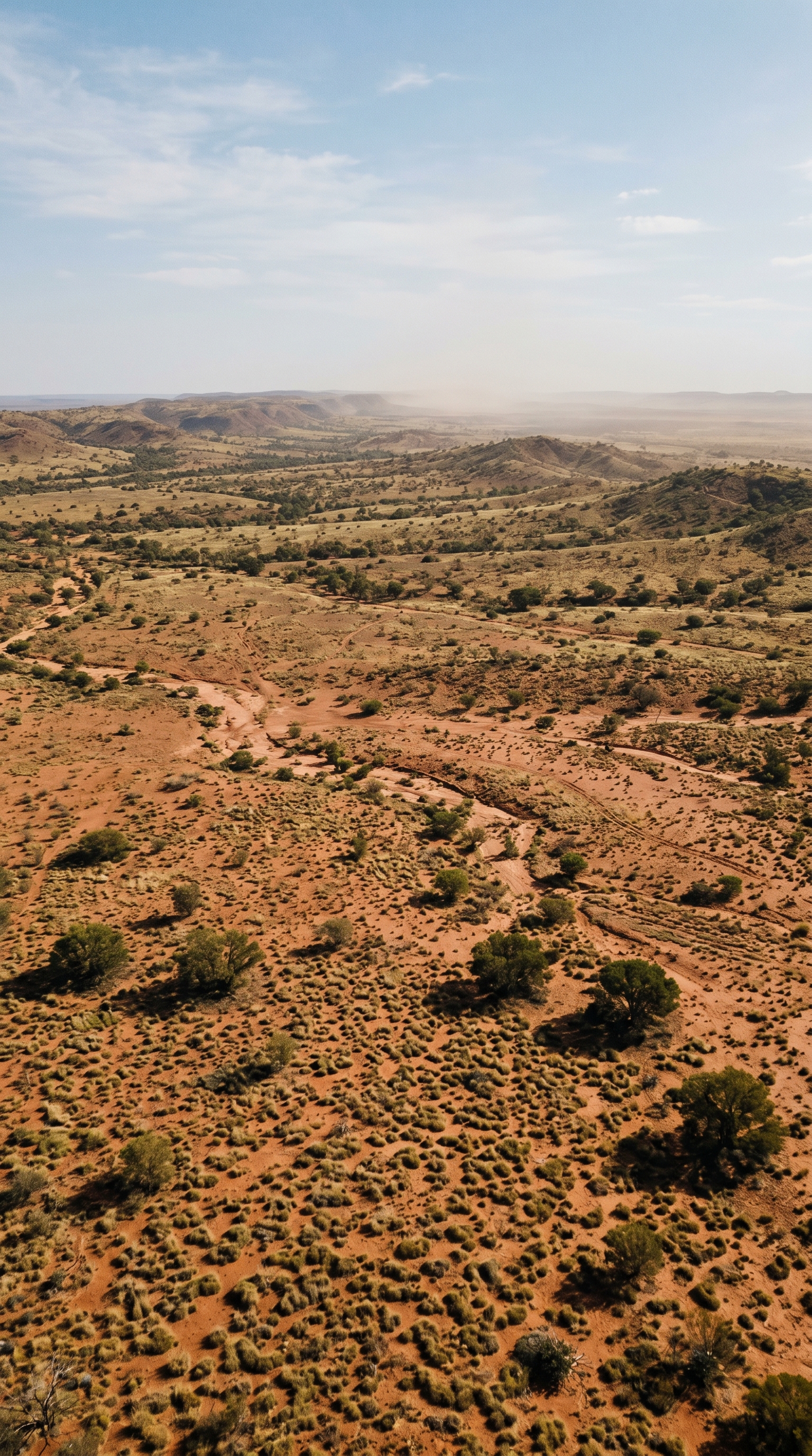 Sturt National Park (New South Wales), Australia seen from above — The red kangaroo is the largest living marsupial.
