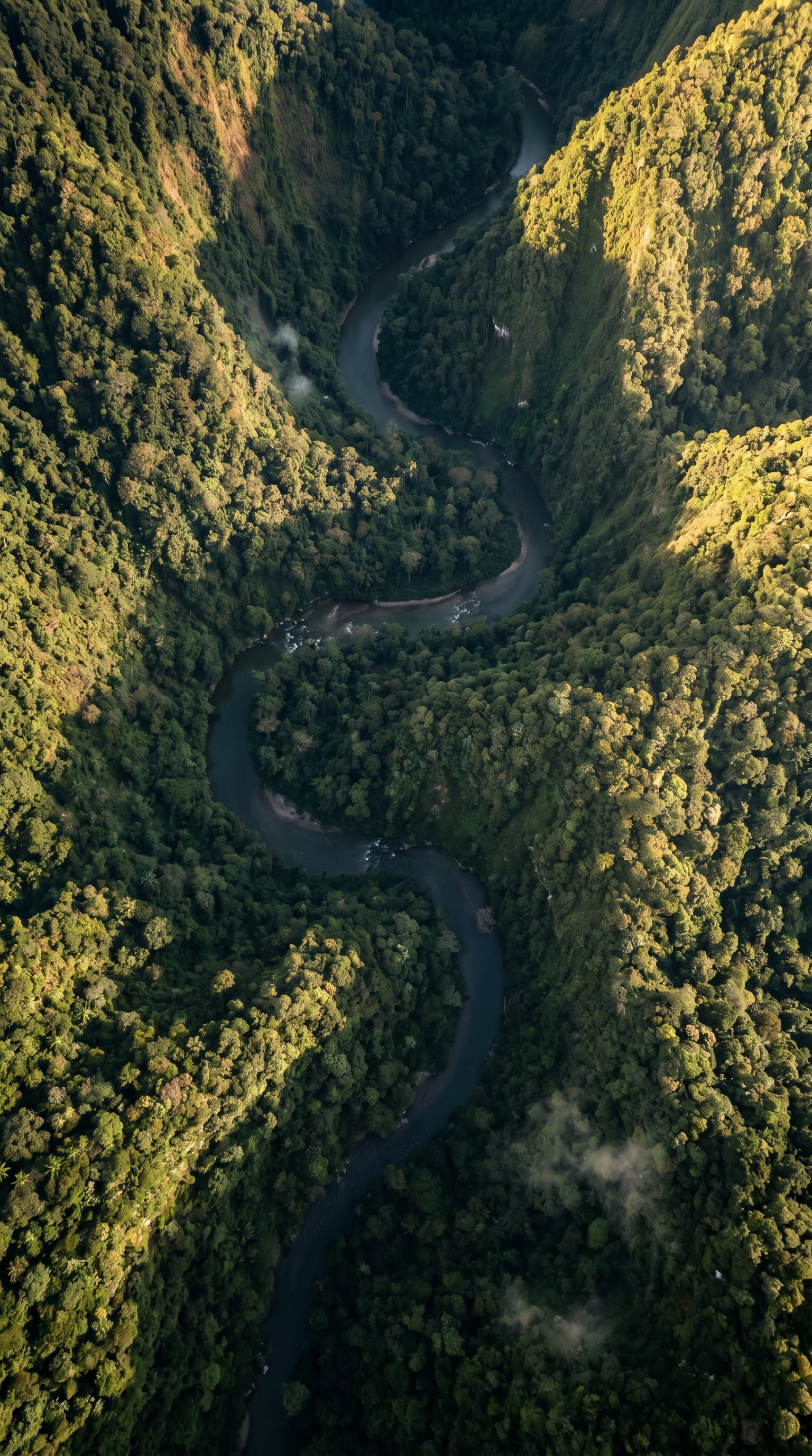 Manu National Park, Peru from high overhead — home of the spectacled bear.