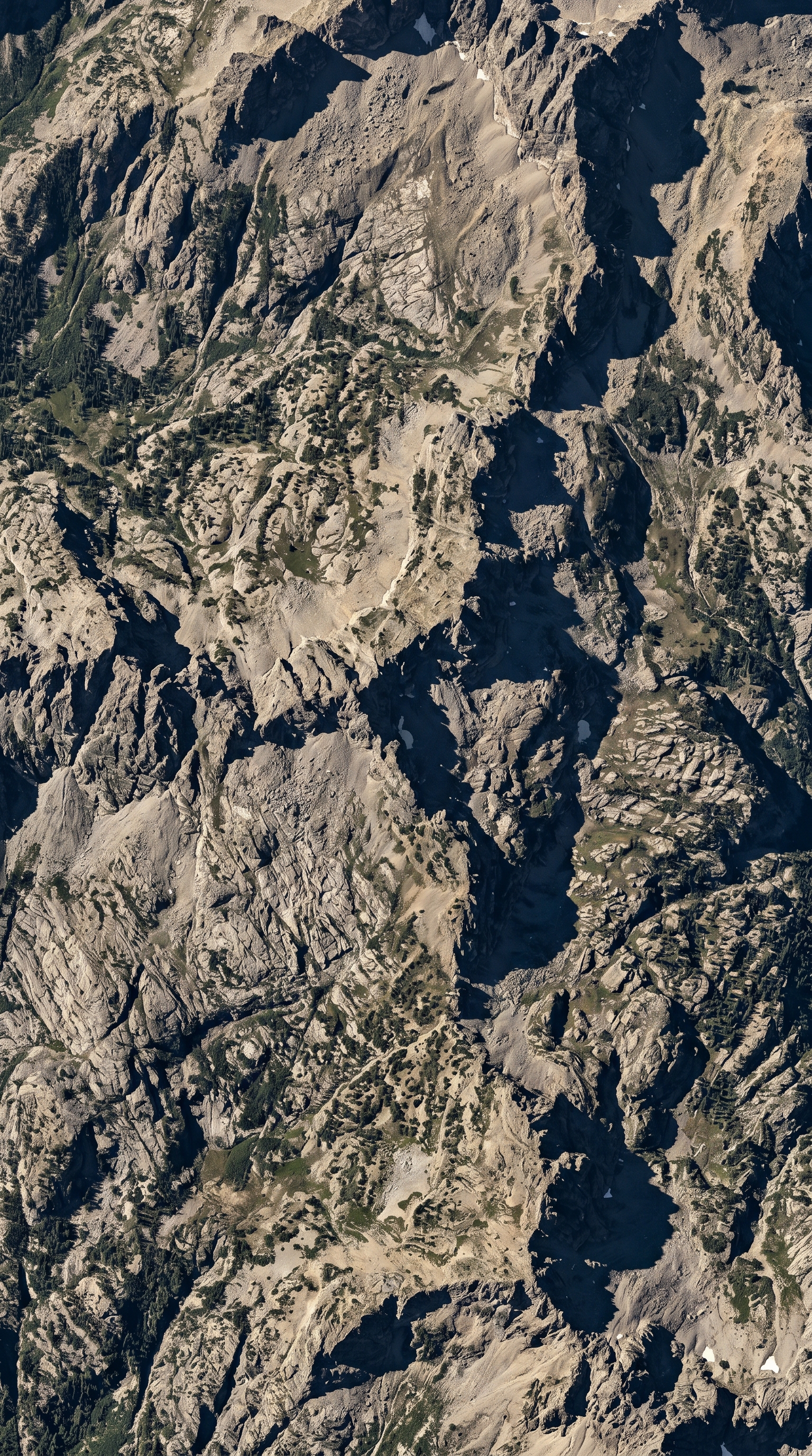 Glacier National Park (Montana), United States from high overhead — Despite the name, the Rocky Mountain Goat is not a true goat.