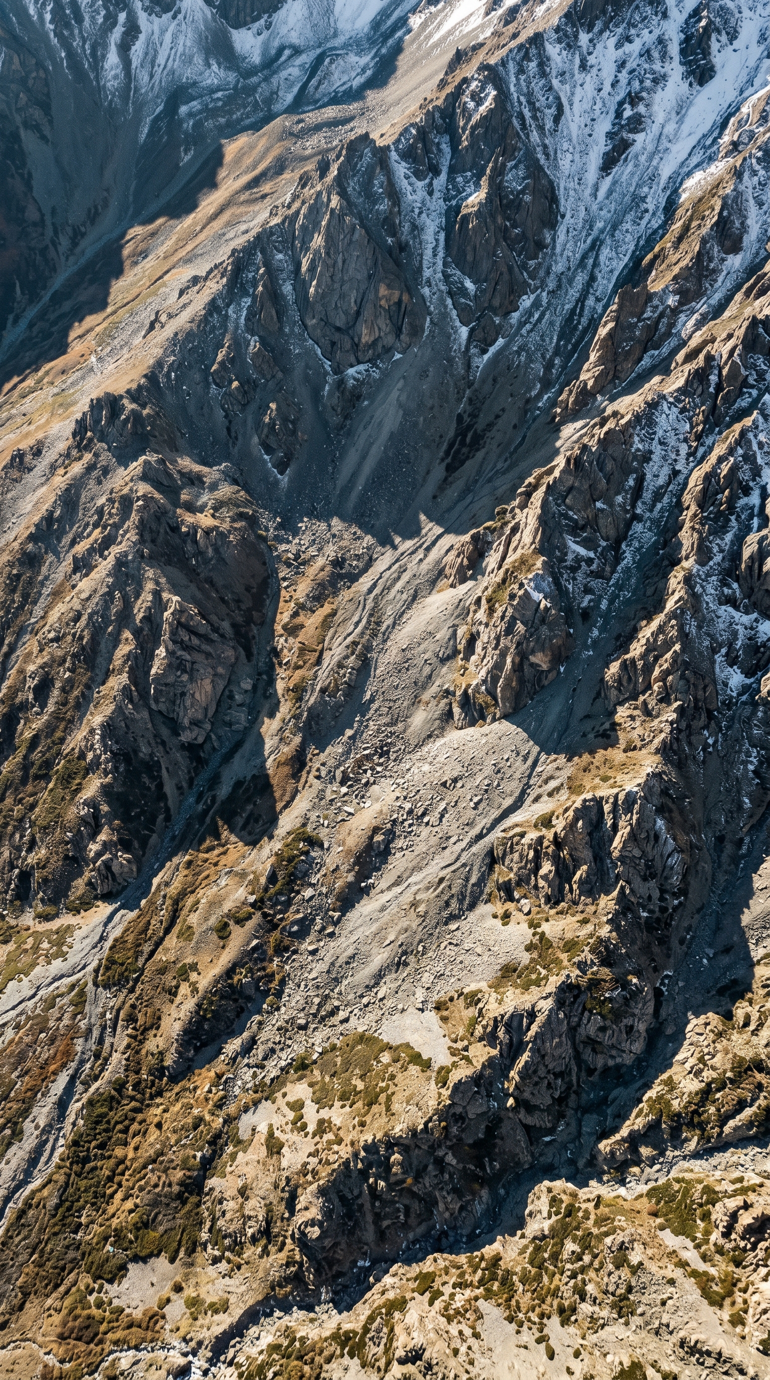 Snow leopard country from high overhead — twelve Asian countries, all above the tree line.